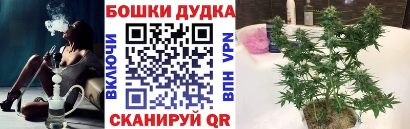 Галлюциногенные грибы Бологое