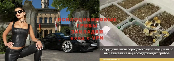 эйфоретик Балахна